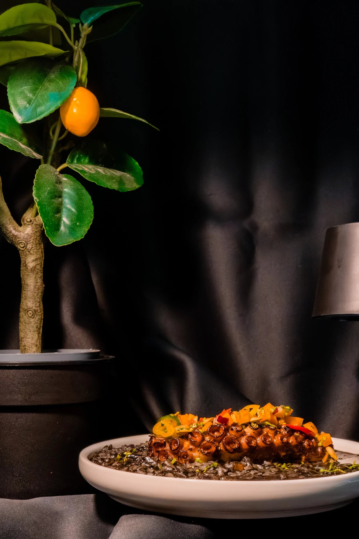 Prato de cozinha portuguesa contemporânea no Atria Atelier